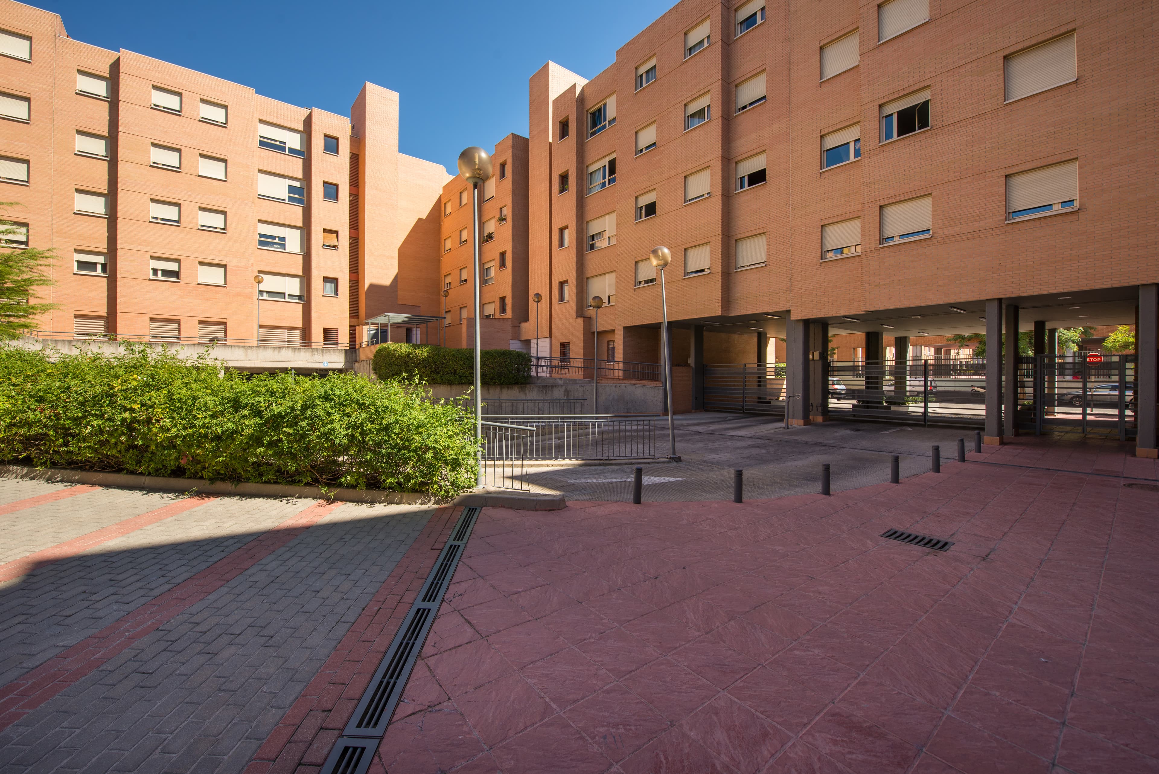 Imagen del carrusel 5