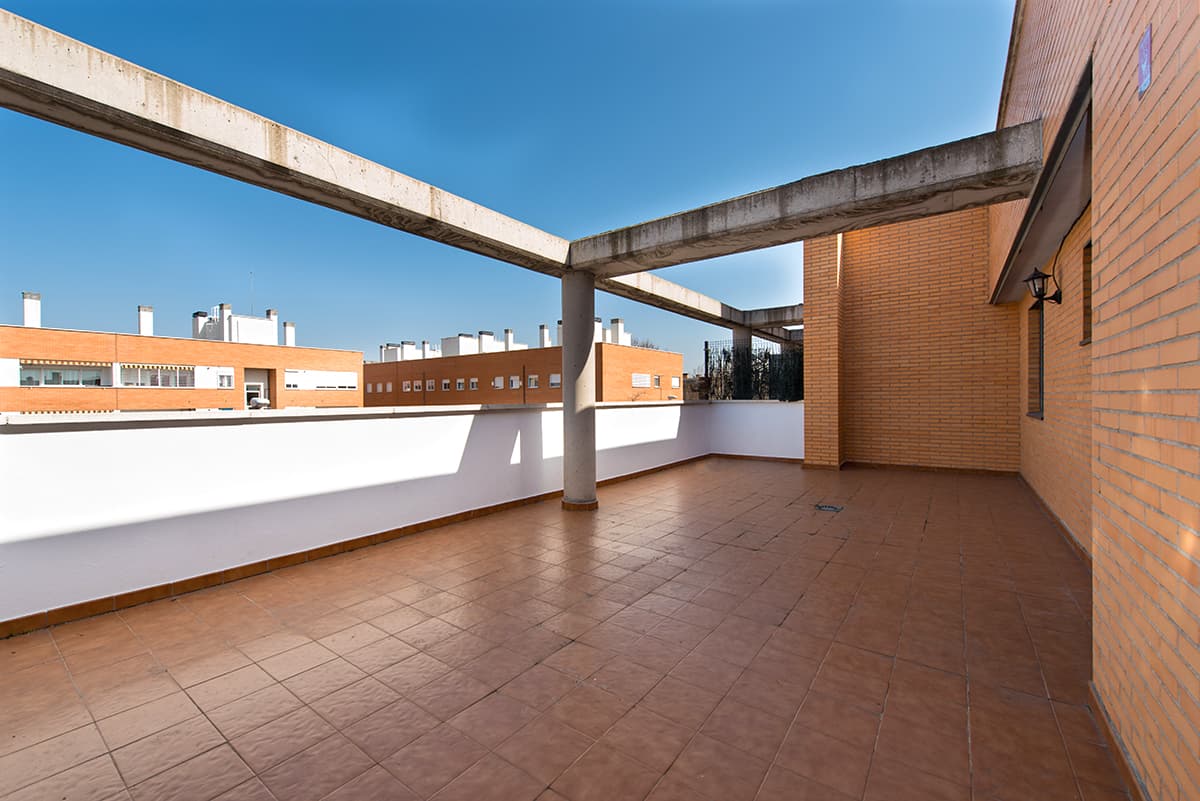 Imagen del carrusel 6
